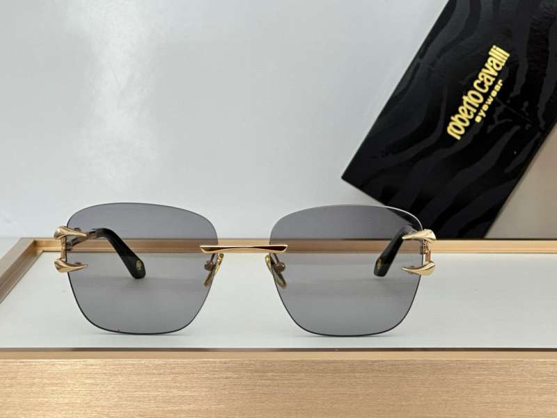 Picture of Roberto Cavalli Sunglasses _SKUfw55481742fw